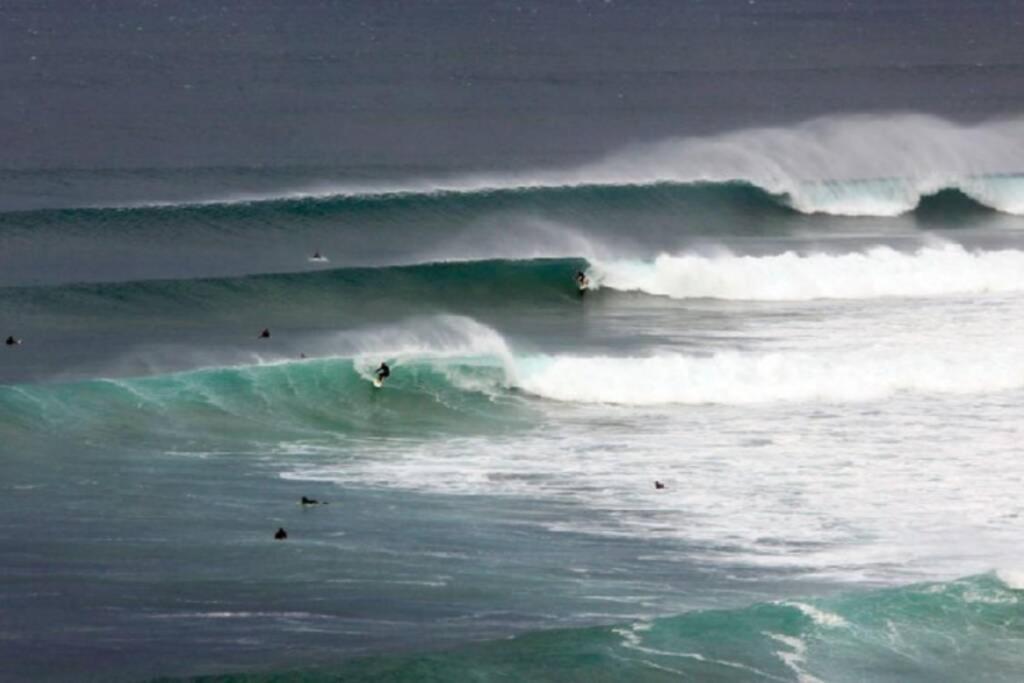 Exceptionnel : Hypercentre Biarritz T2 Avec Patio Daire Dış mekan fotoğraf